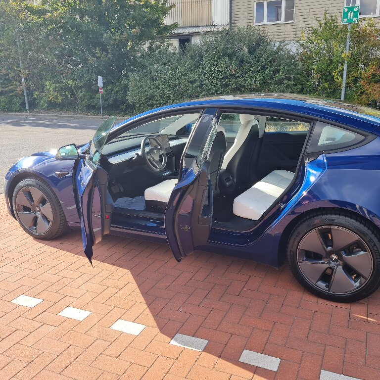 Mietwagen mit Fahrer: Tesla
