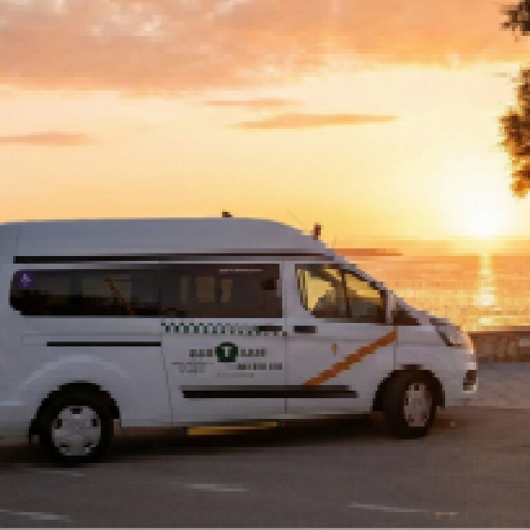 Taxi: Ford