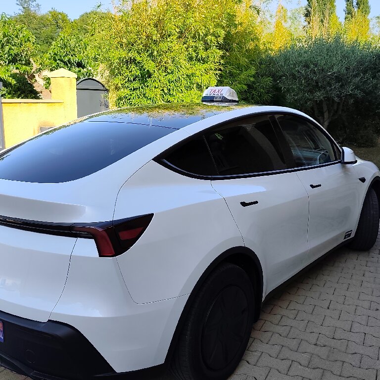 Taxi: Tesla