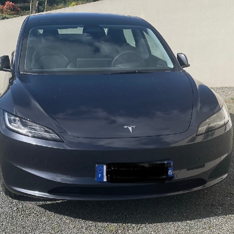 Mietwagen mit Fahrer: Tesla