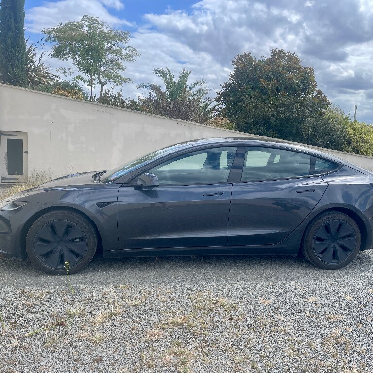 Mietwagen mit Fahrer: Tesla