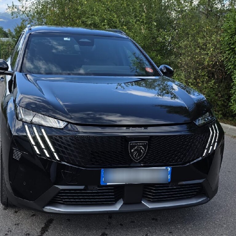 Personenvervoer: Peugeot