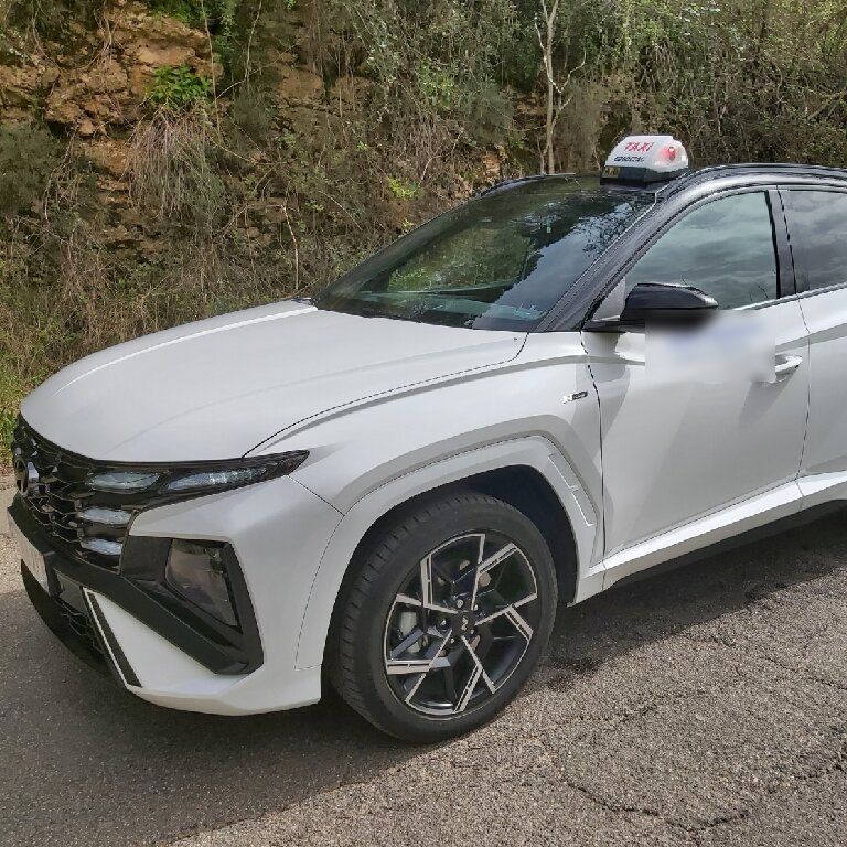 Taxi Alès: Hyundai