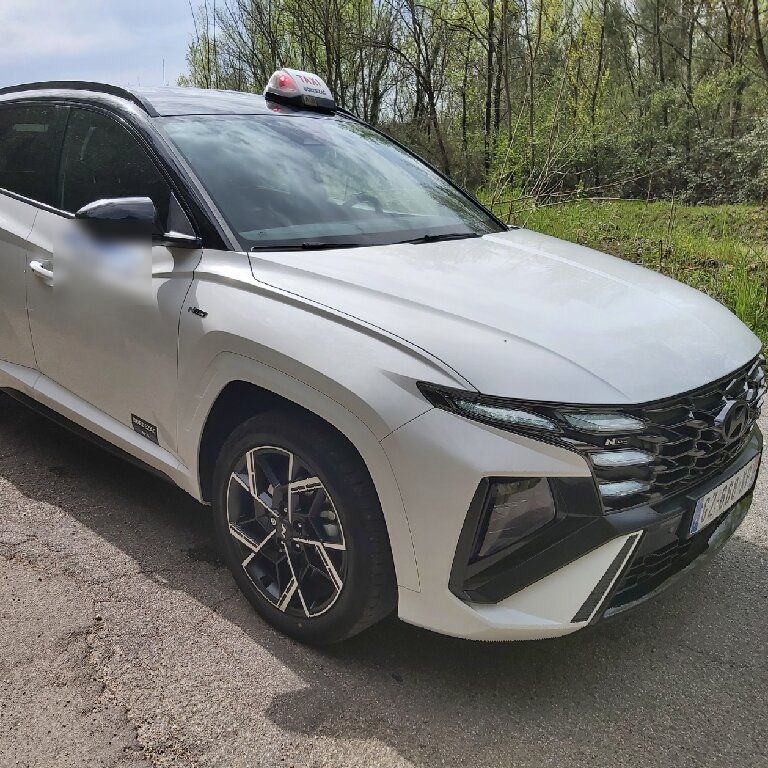 Taxi Alès: Hyundai