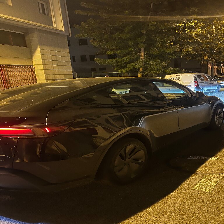 Mietwagen mit Fahrer: Tesla