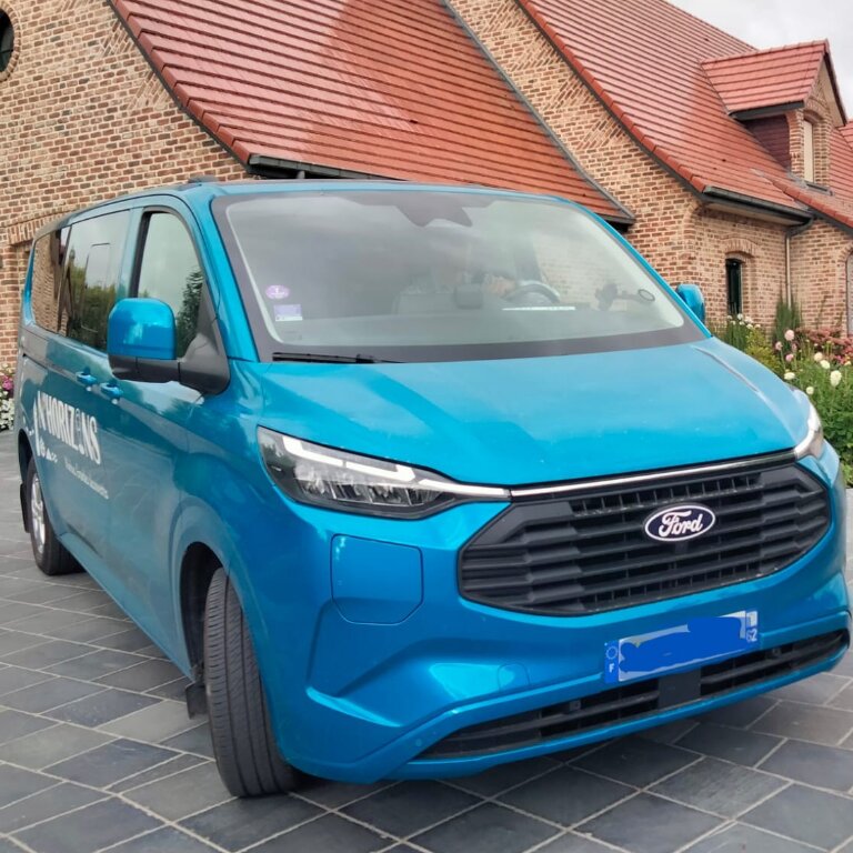 Taxi: Ford