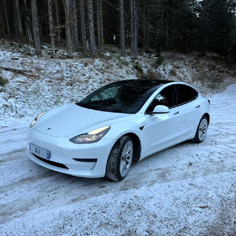 Personenvervoer: Tesla