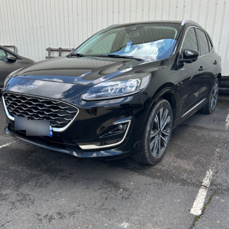 Personenvervoer: Ford