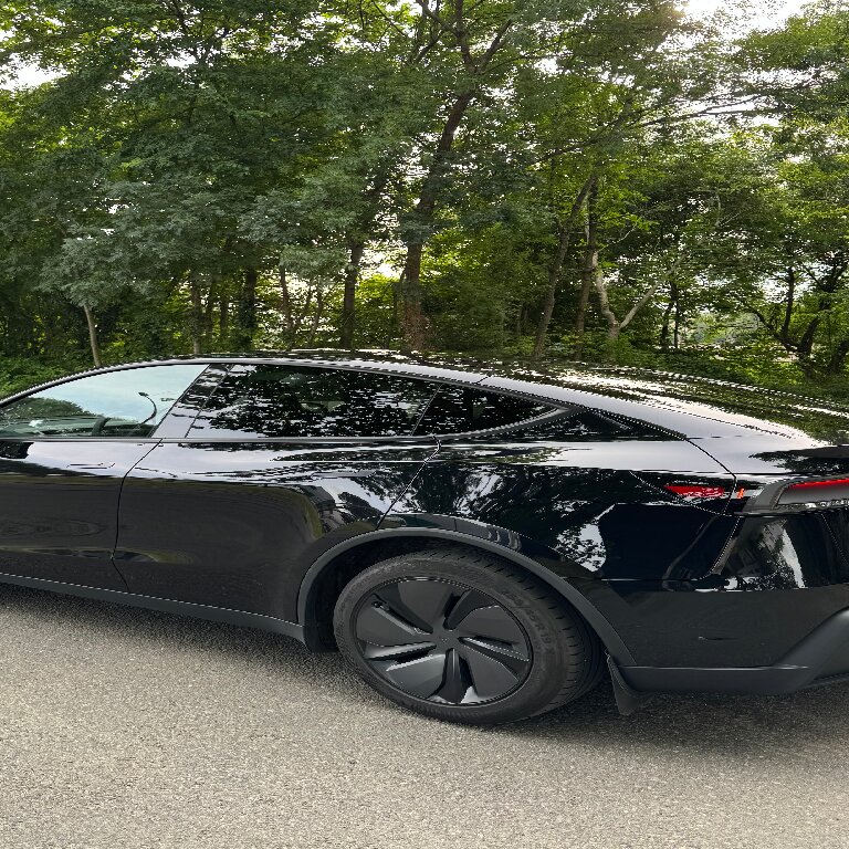 Personenvervoer: Tesla