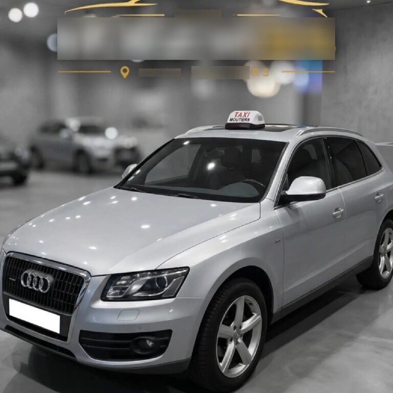Taxi: Audi