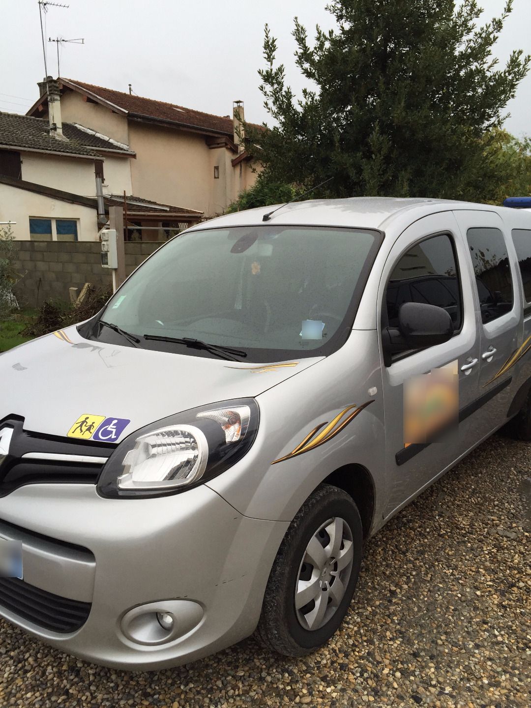 Mietwagen mit Fahrer Vaulx-en-Velin: Renault