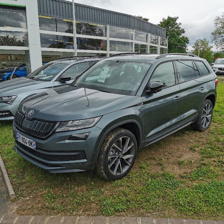 Mietwagen mit Fahrer Ostheim: Skoda