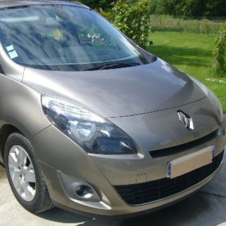 Taxi Montereau-Fault-Yonne: Renault