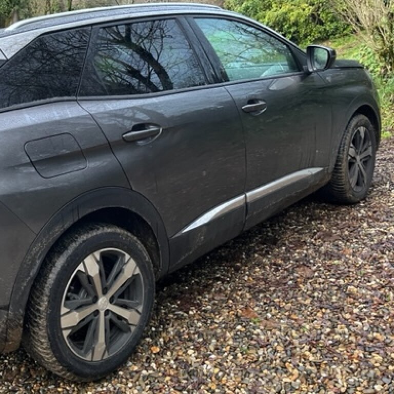 Mietwagen mit Fahrer Calviac-en-Périgord: Peugeot