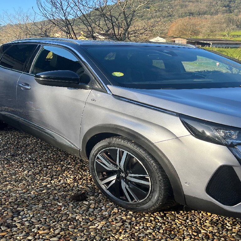 VTC Calviac-en-Périgord: Peugeot