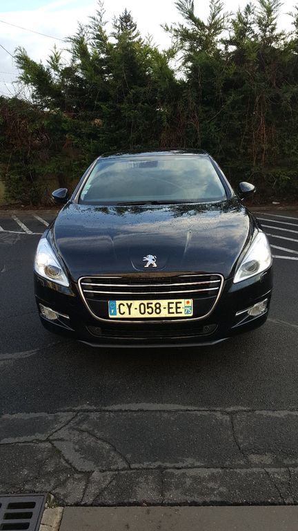 Mietwagen mit Fahrer Athis-Mons: Peugeot