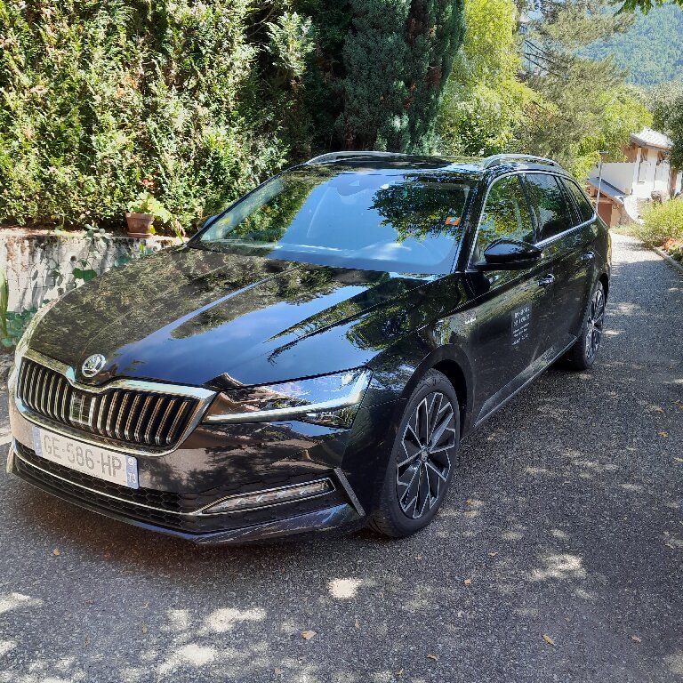 Mietwagen mit Fahrer Salins-les-Thermes: Skoda