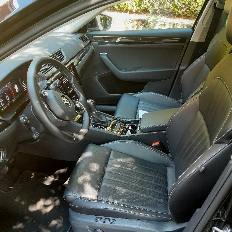 Mietwagen mit Fahrer Salins-les-Thermes: Skoda