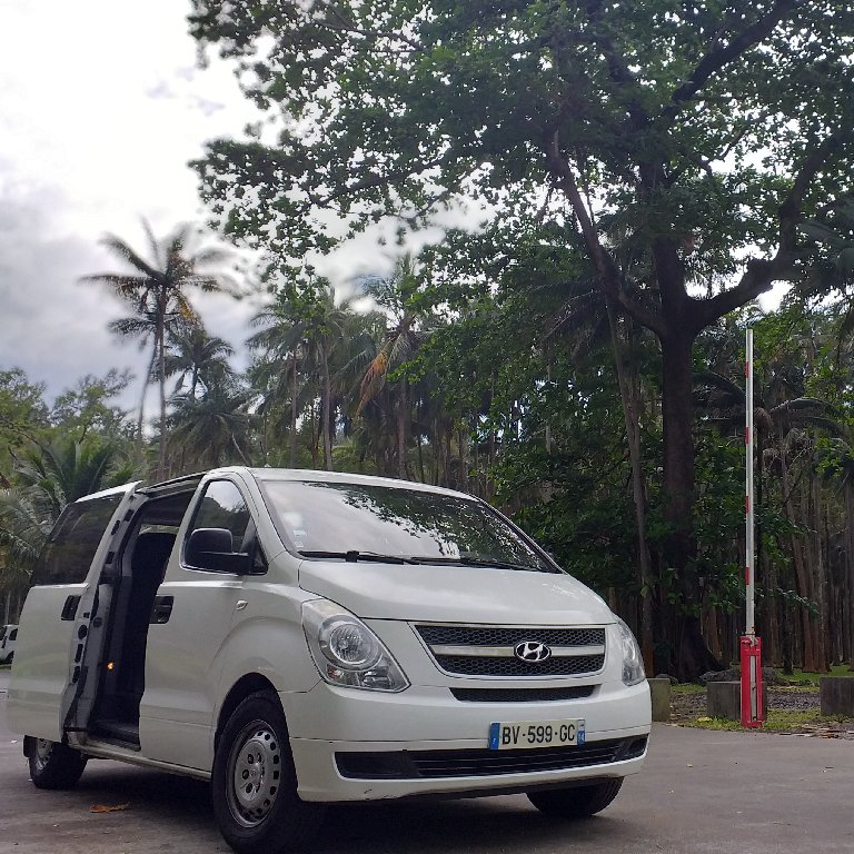 Mietwagen mit Fahrer La Possession: Hyundai