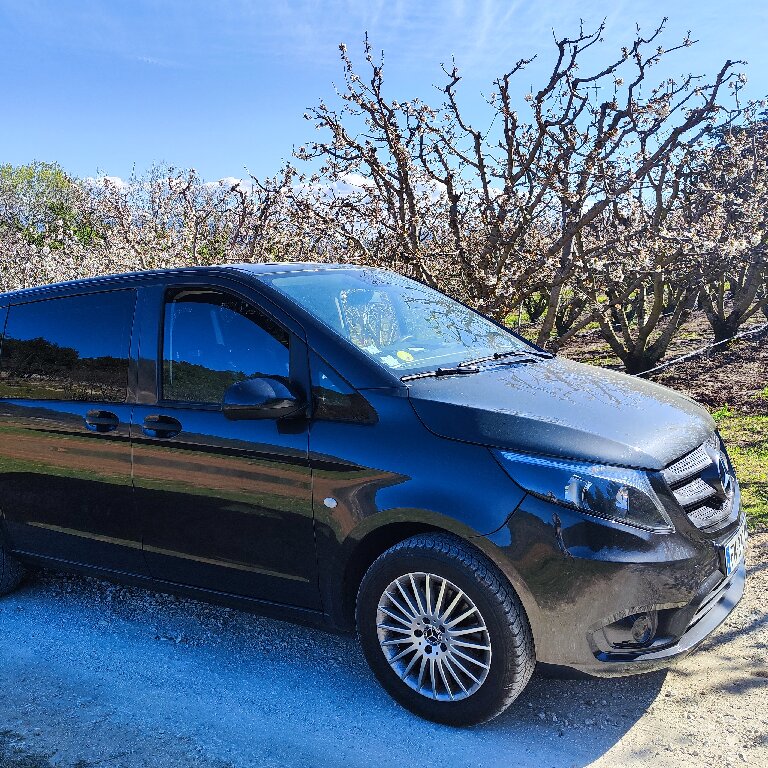 Mietwagen mit Fahrer Lacoste: Mercedes