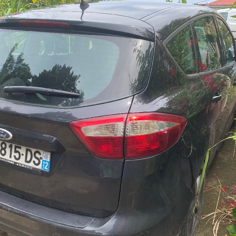 Mietwagen mit Fahrer Tremblay-en-France: Ford