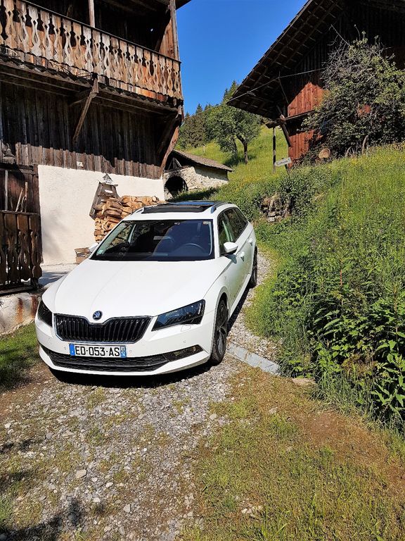 Mietwagen mit Fahrer Reyvroz: Skoda