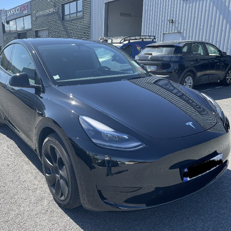 VTC Bordeaux: Tesla