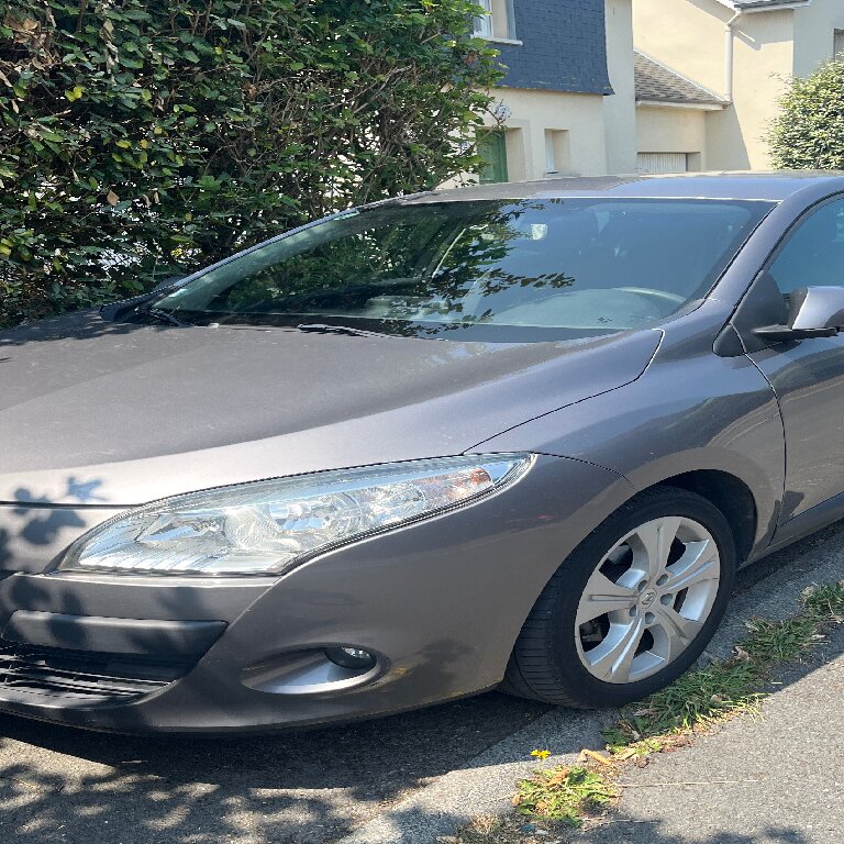 Taxi Cabourg: Renault