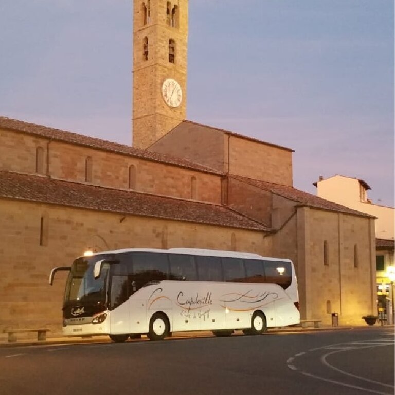 Coach provider Lézignan-Corbières: Setra