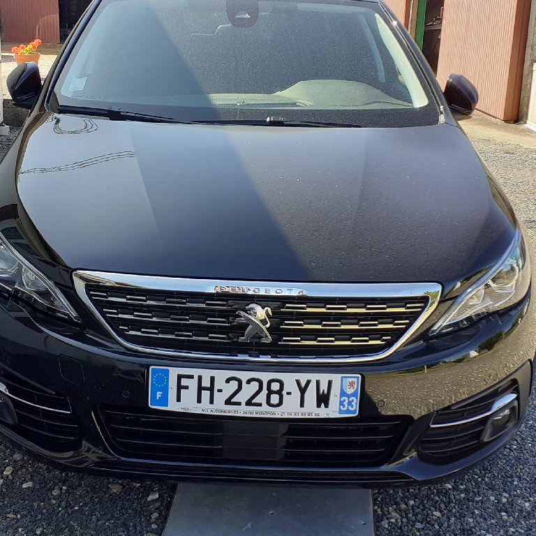 Mietwagen mit Fahrer Saint-Martin-de-Gurson: Peugeot