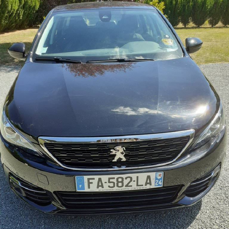 Mietwagen mit Fahrer Saint-Martin-de-Gurson: Peugeot