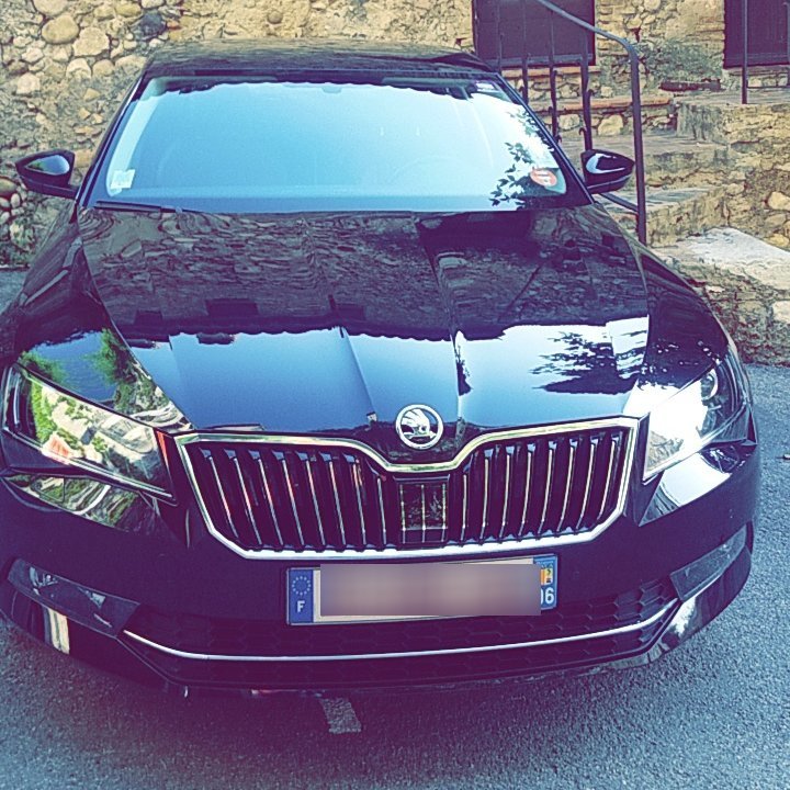 Mietwagen mit Fahrer Nice: Skoda