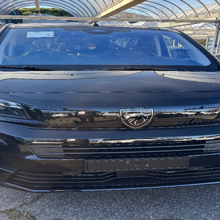Mietwagen mit Fahrer Ramonville-Saint-Agne: Peugeot