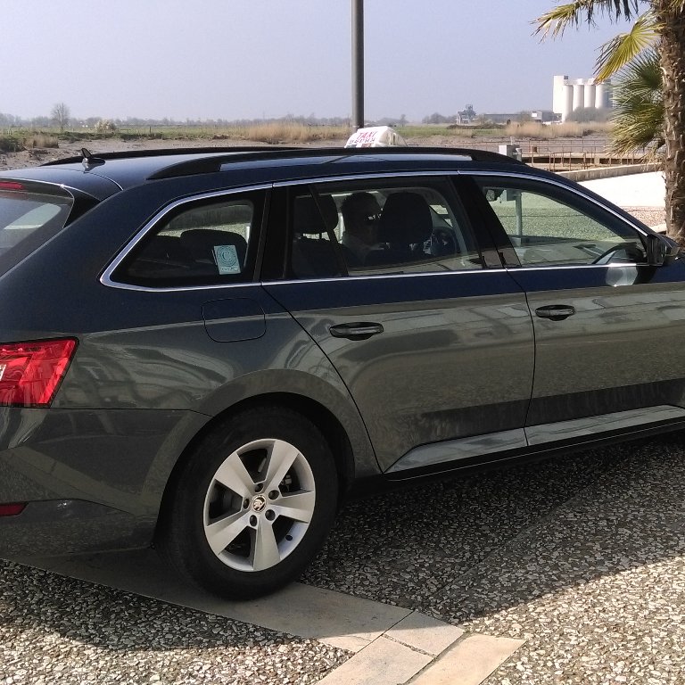 Taxi Tonnay-Charente: Skoda