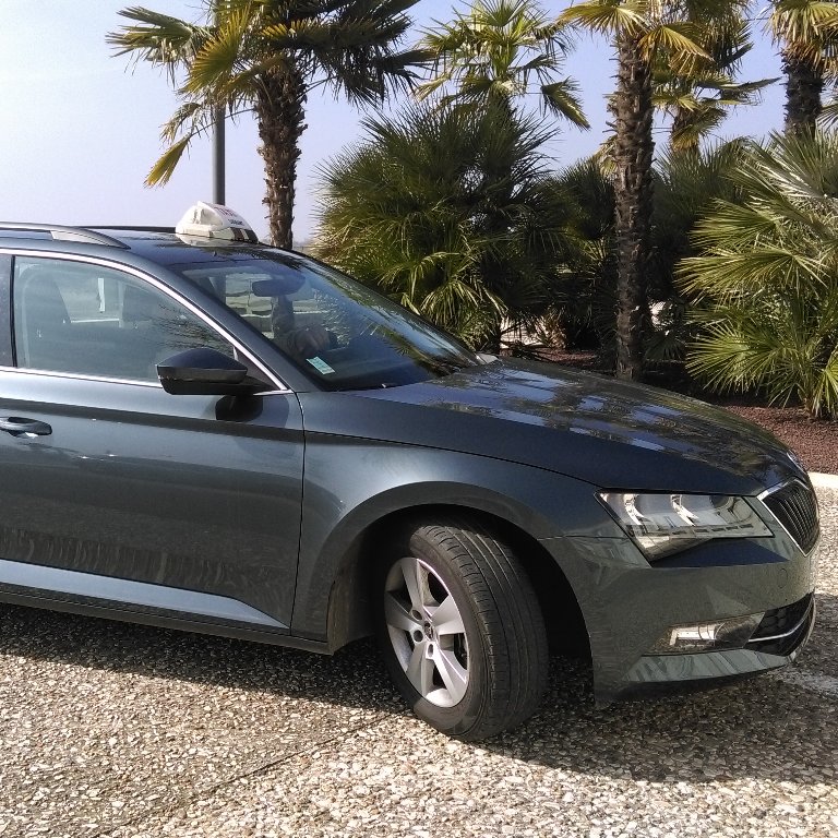 Taxi Tonnay-Charente: Skoda