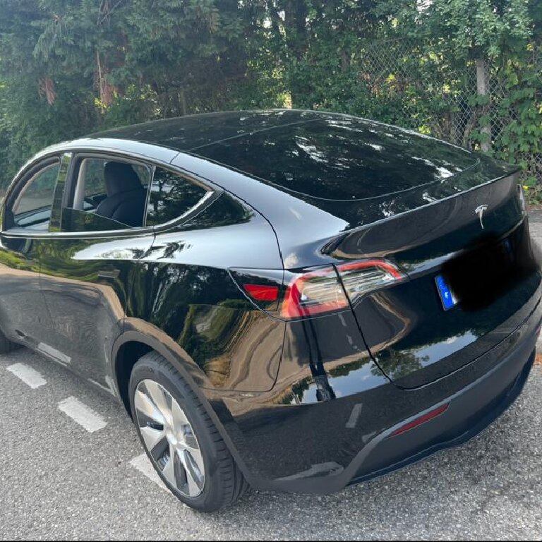 Personenvervoer Lyon: Tesla