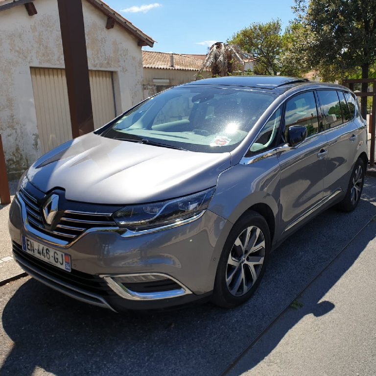 Mietwagen mit Fahrer Frontignan: Renault