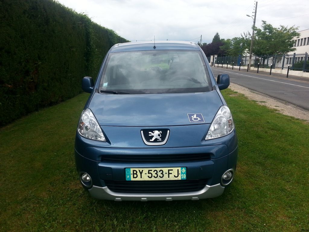 Taxi Le Mée-sur-Seine: Peugeot