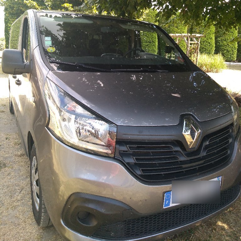 Mietwagen mit Fahrer Couddes: Renault