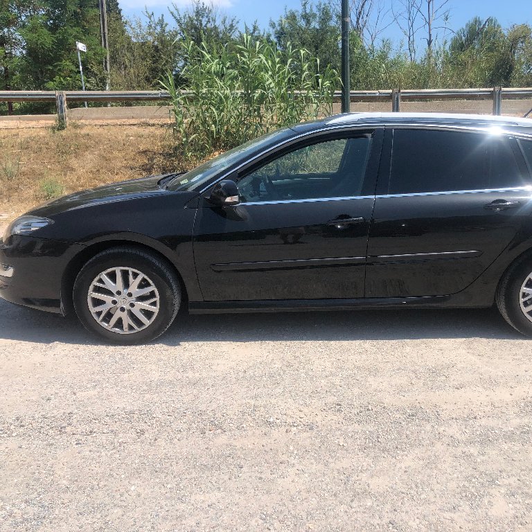 Mietwagen mit Fahrer Talence: Renault