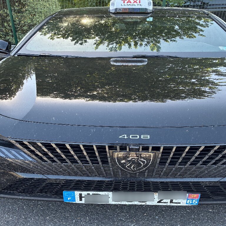 Taxi Juillan: Peugeot