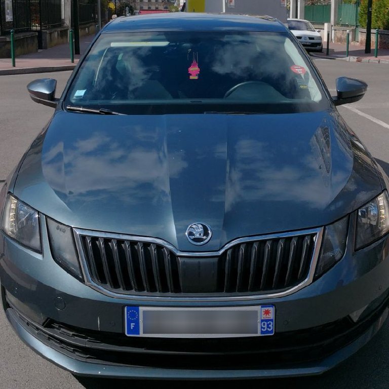 Personenvervoer Bagnolet: Skoda