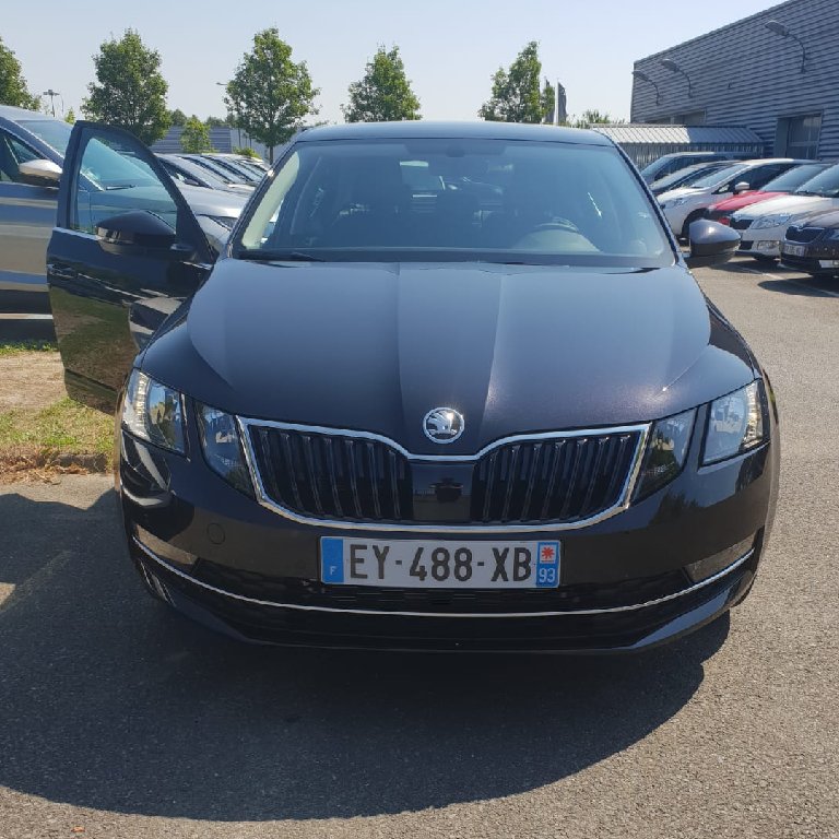 Mietwagen mit Fahrer Bagnolet: Skoda