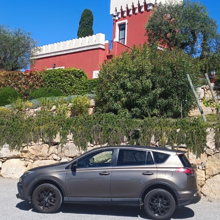 Mietwagen mit Fahrer Cagnes-sur-Mer: Toyota