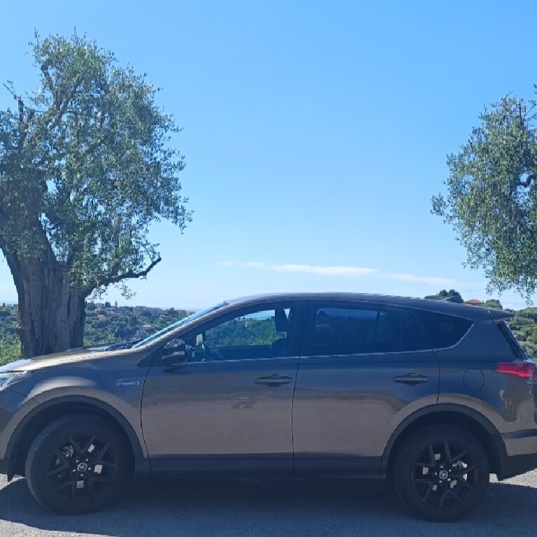 Mietwagen mit Fahrer Cagnes-sur-Mer: Toyota