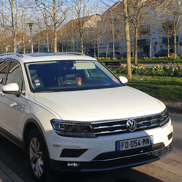 Mietwagen mit Fahrer Bussy-Saint-Georges: Volkswagen