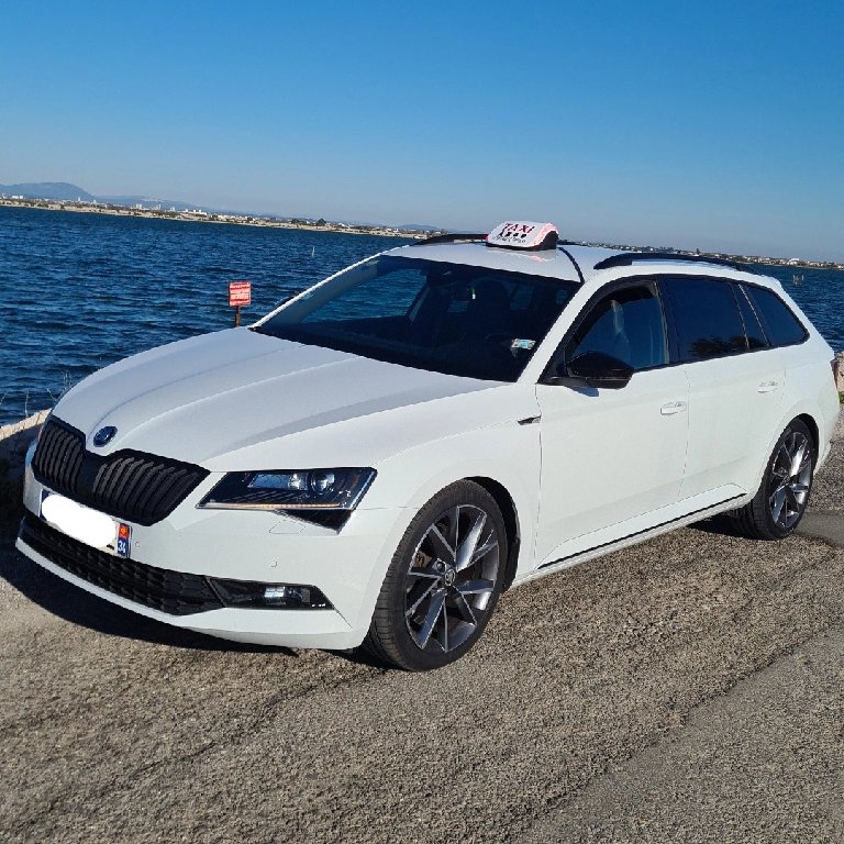 Taxi Saint-Mathieu-de-Tréviers: Skoda