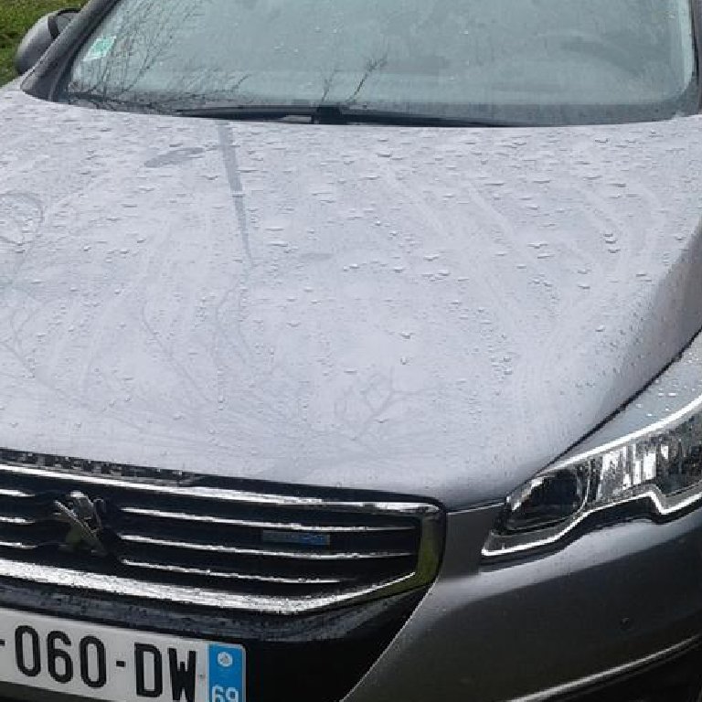 Mietwagen mit Fahrer Caluire-et-Cuire: Peugeot