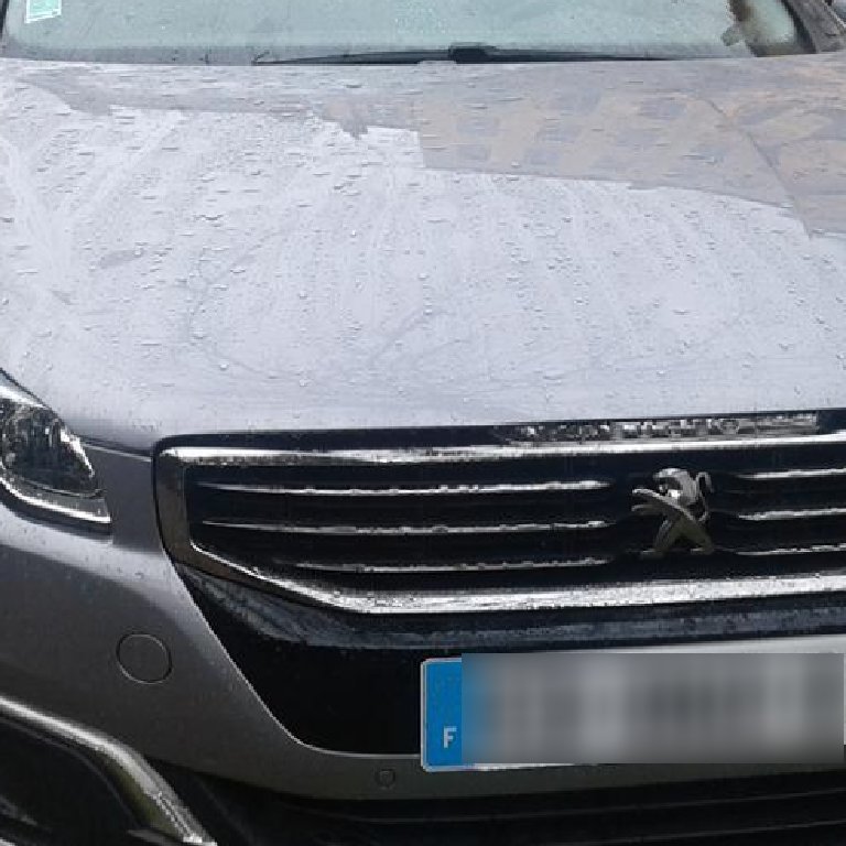 Mietwagen mit Fahrer Caluire-et-Cuire: Peugeot