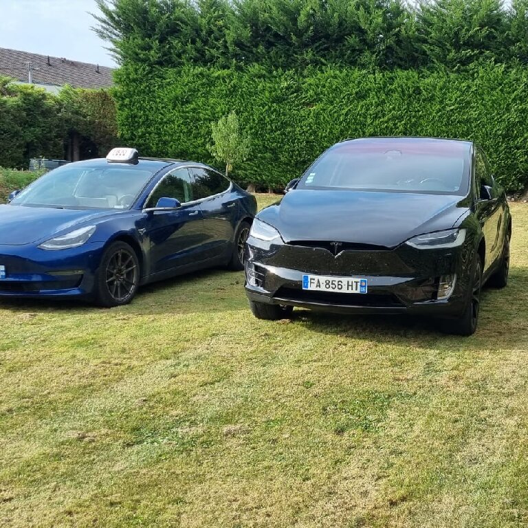 Taxi Roye: Tesla
